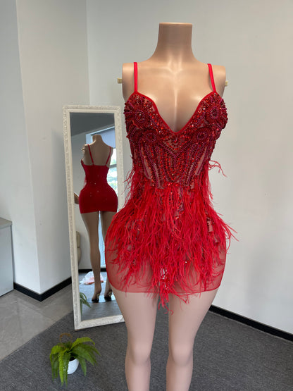 NINA RED Crystal Rhinestone Dress